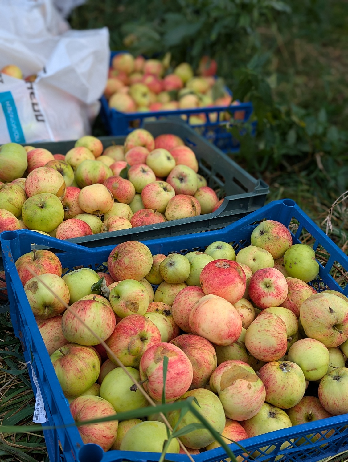 Волонтеры Завода приняли участие в субботнике